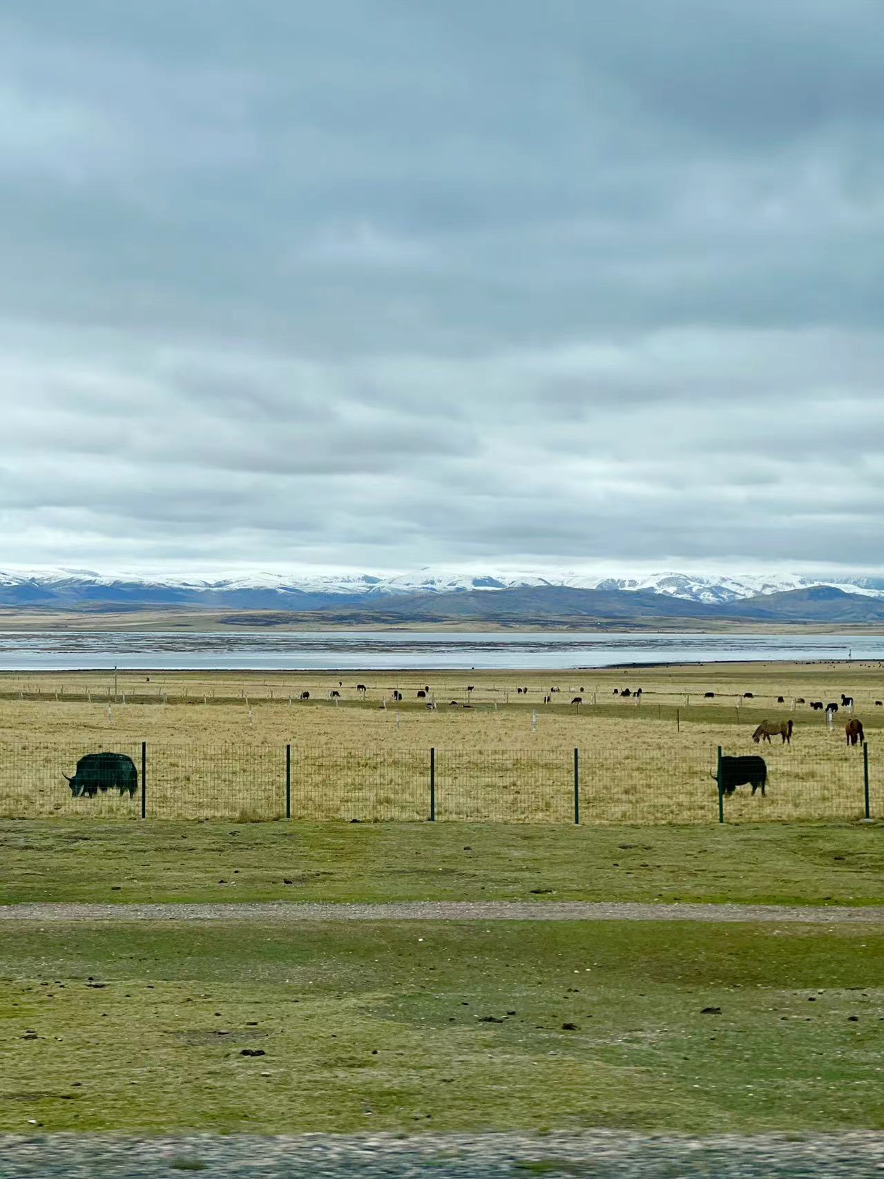 DAY2 甘南自驾游