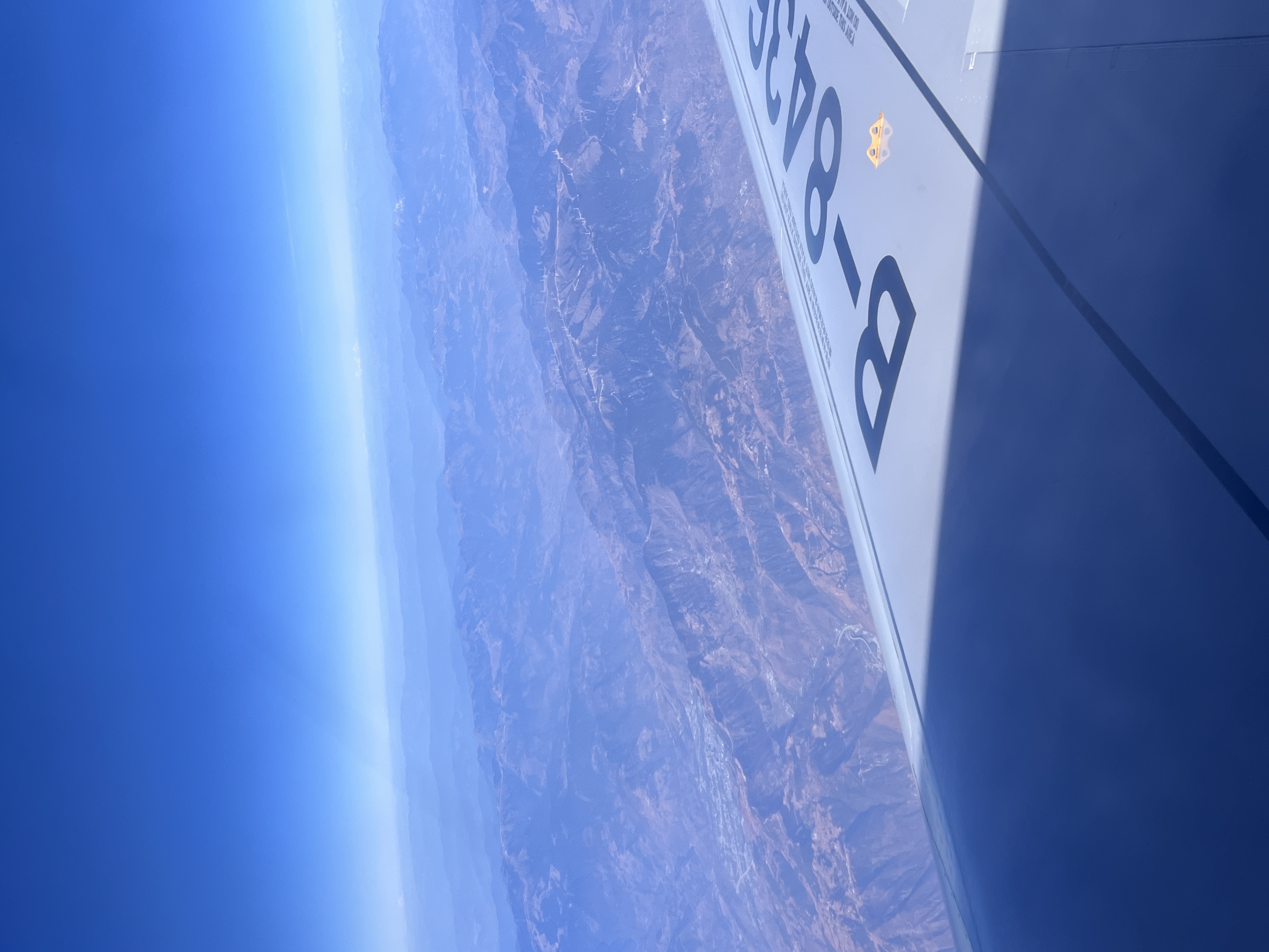 《献给阿尔吉侬的花束》